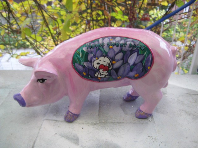Mini-Schwein_460