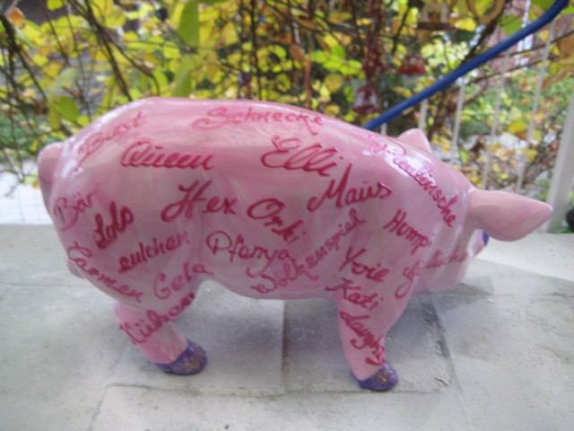 Mini-Schwein_461
