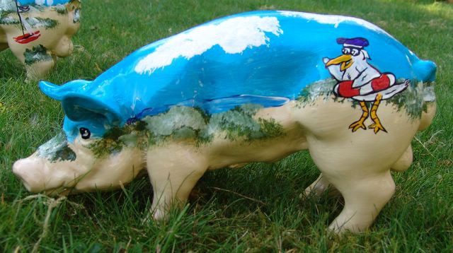 Mini-Schwein_463
