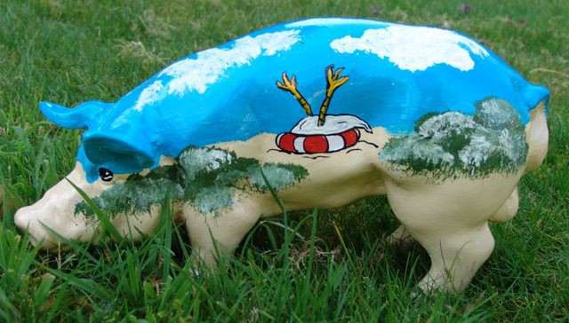 Mini-Schwein_464