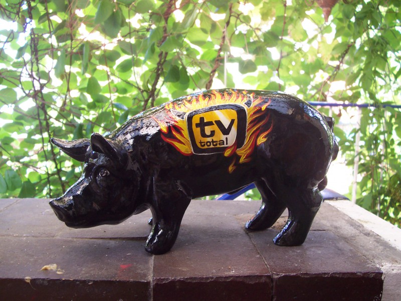 Mini-Schwein_468