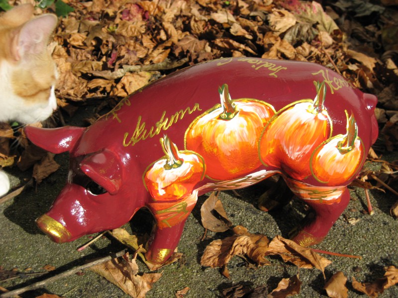 Mini-Schwein_470