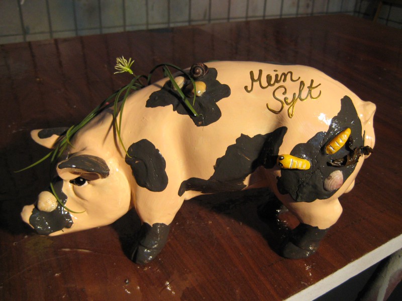 Mini-Schwein_474