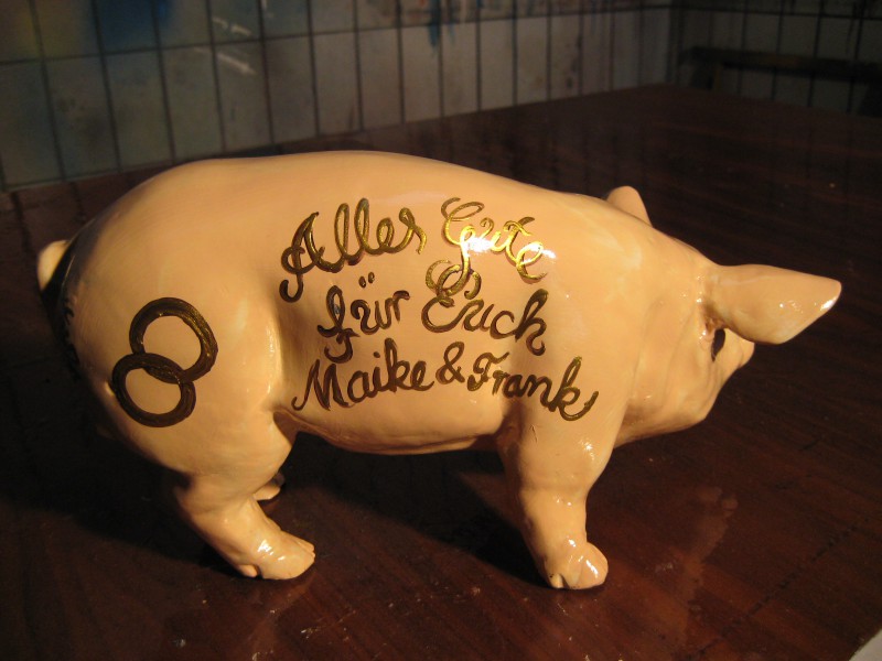 Mini-Schwein_476