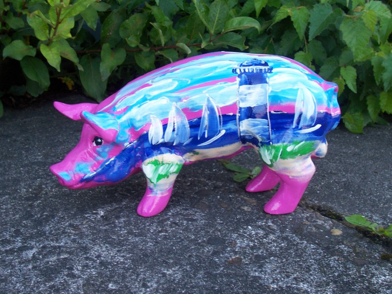 Mini-Schwein_48