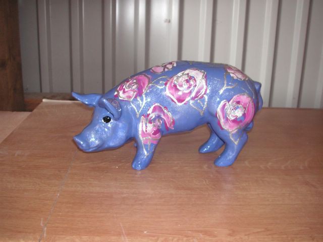 Mini-Schwein_485