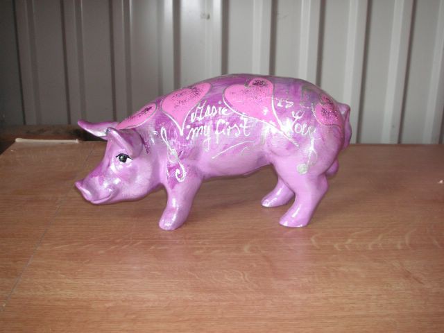 Mini-Schwein_486