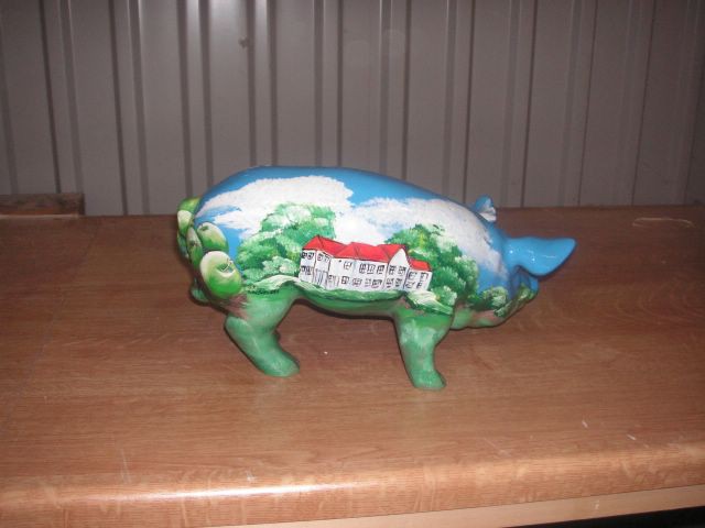 Mini-Schwein_491