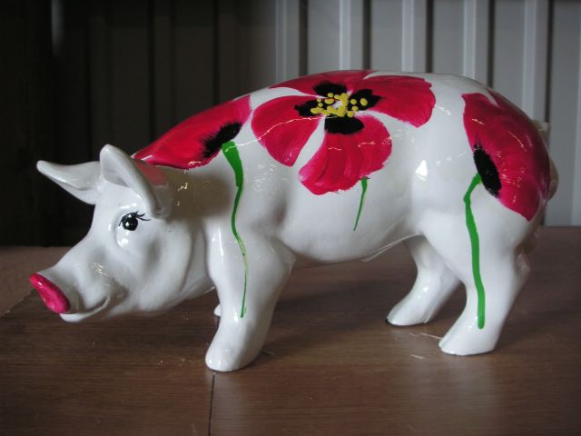 Mini-Schwein_497