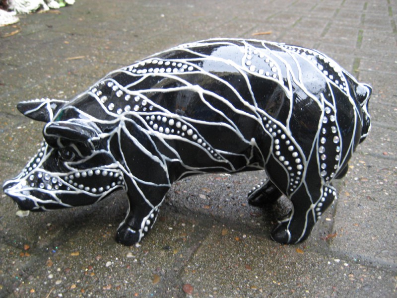 Mini-Schwein_5