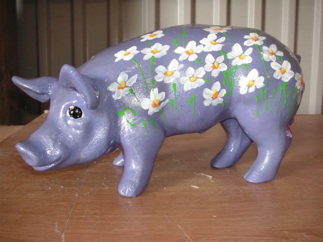 Mini-Schwein_504
