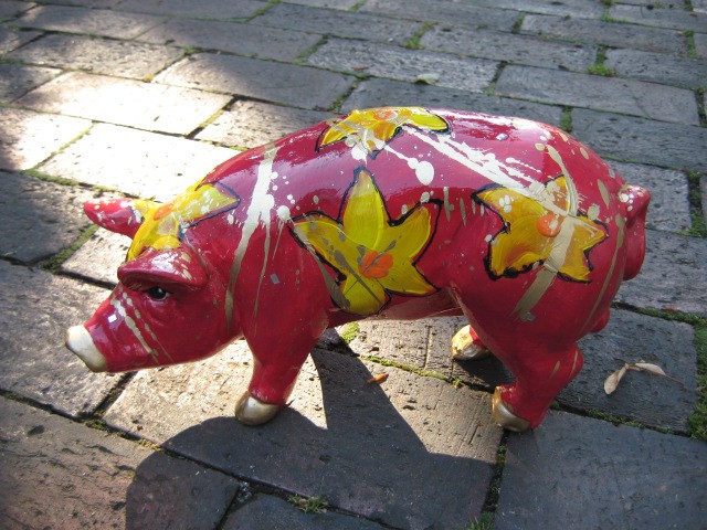 Mini-Schwein_532