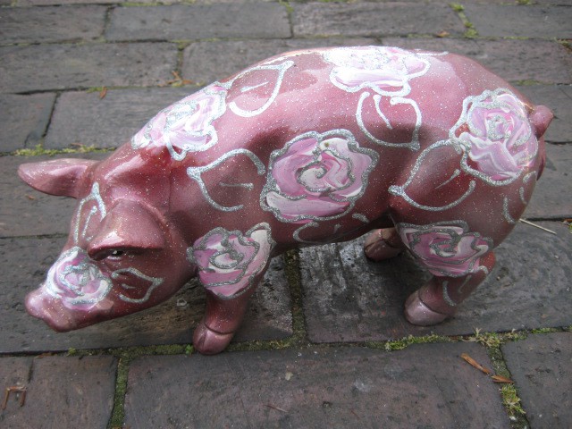 Mini-Schwein_534