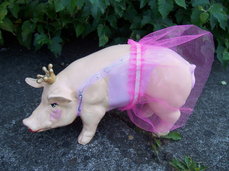 Mini-Schwein_55