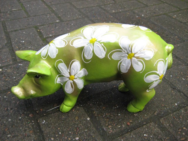Mini-Schwein_551