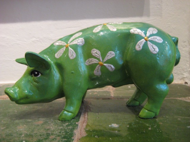 Mini-Schwein_555