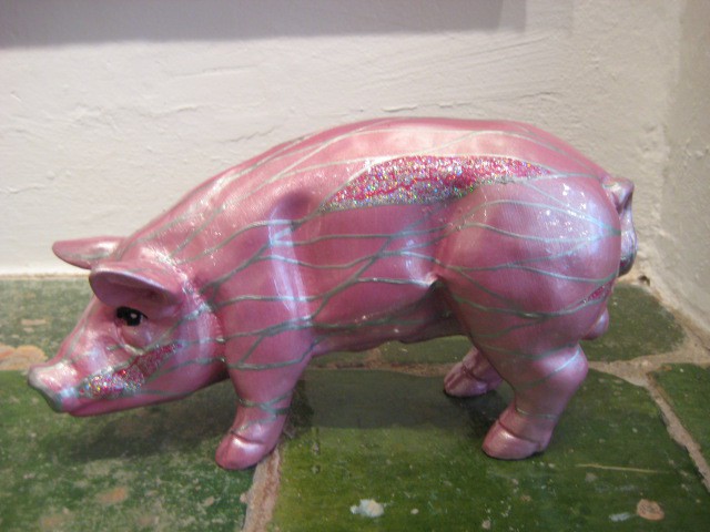 Mini-Schwein_562