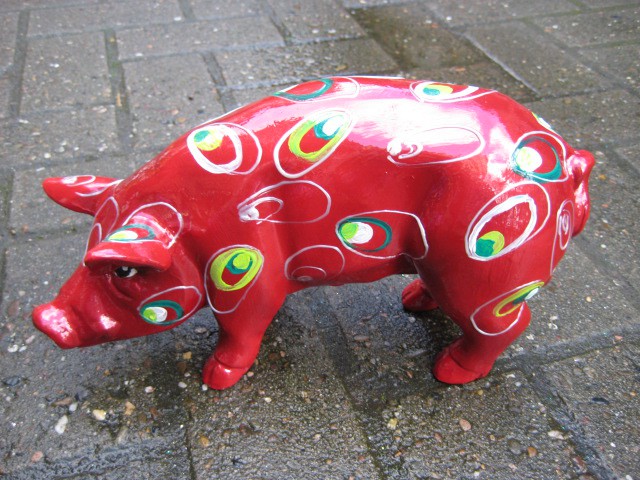 Mini-Schwein_564