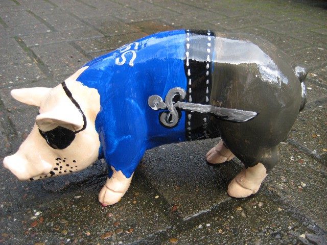 Mini-Schwein_568