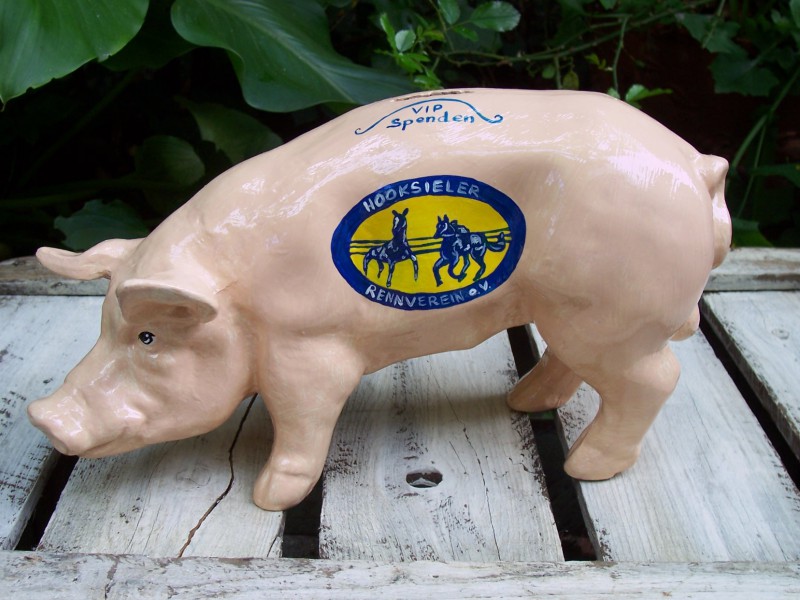 Mini-Schwein_57