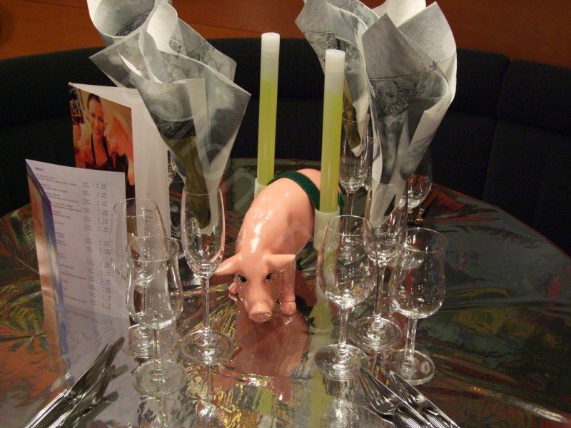 Mini-Schwein_574