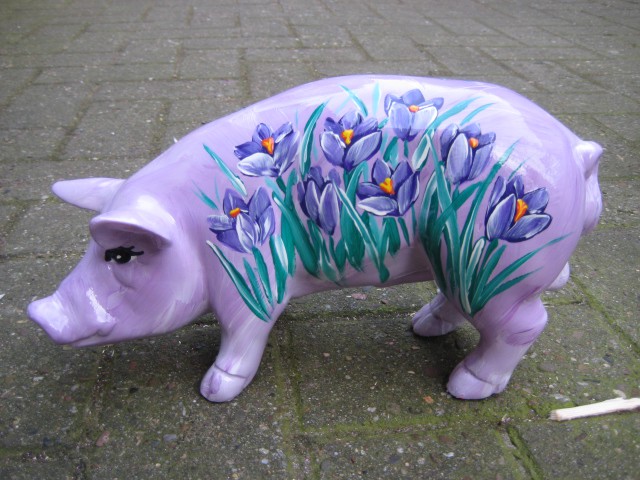 Mini-Schwein_578