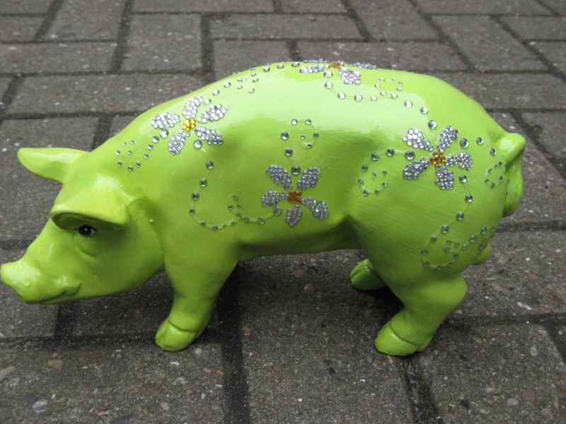Mini-Schwein_58