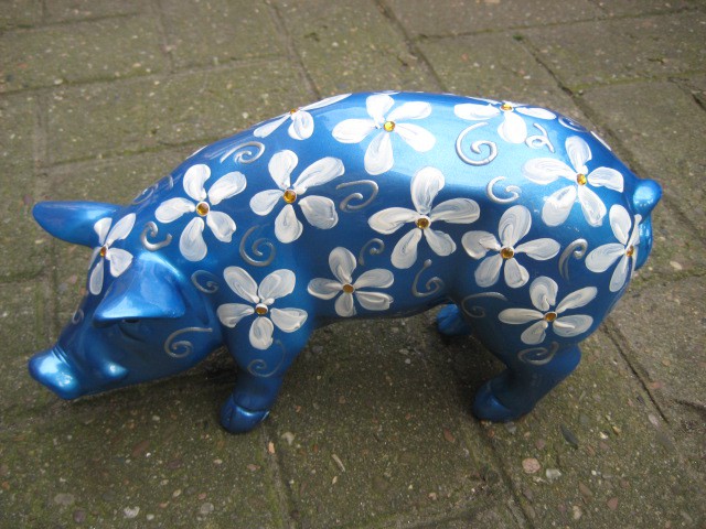 Mini-Schwein_582