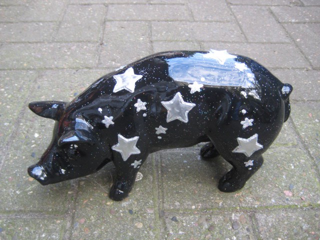 Mini-Schwein_586
