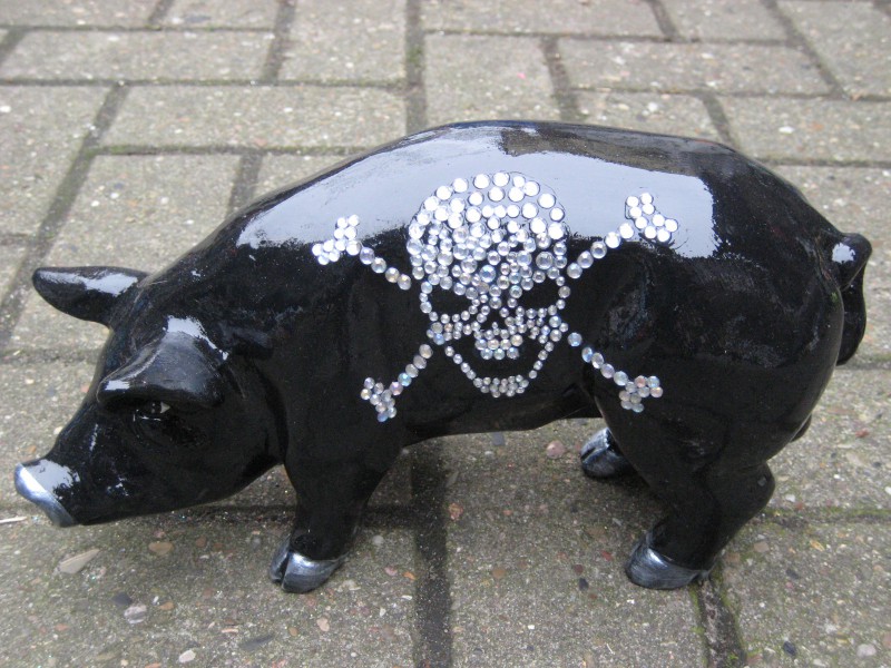 Mini-Schwein_59