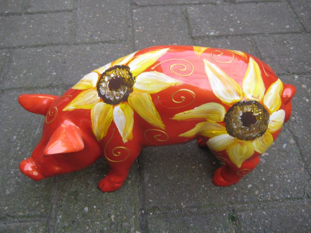 Mini-Schwein_590