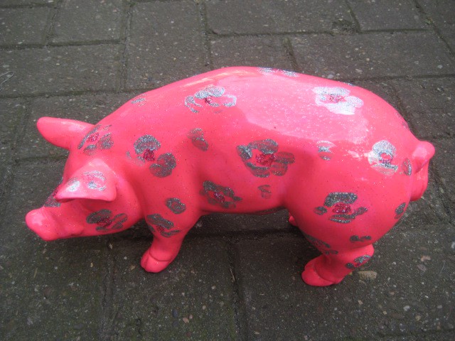 Mini-Schwein_591