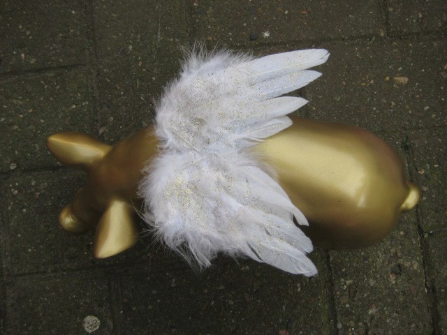 Mini-Schwein_593
