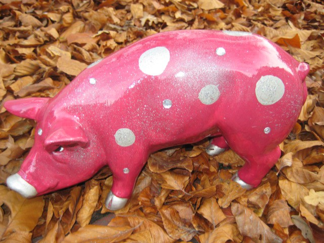 Mini-Schwein_594