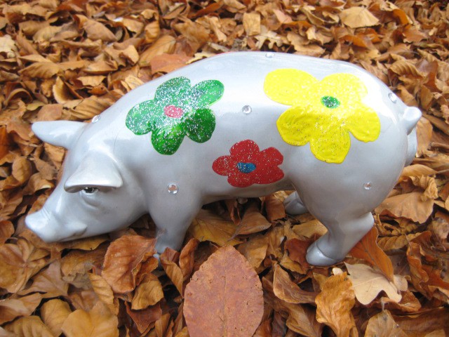 Mini-Schwein_597