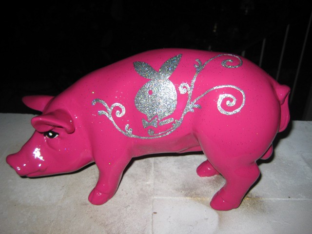 Mini-Schwein_598