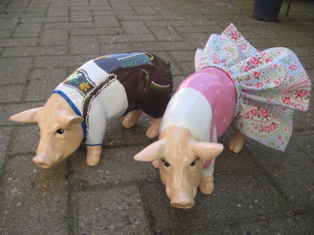 Mini-Schwein_605