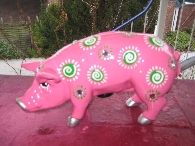 Mini-Schwein_620