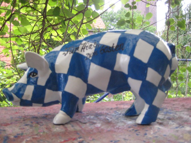 Mini-Schwein_624