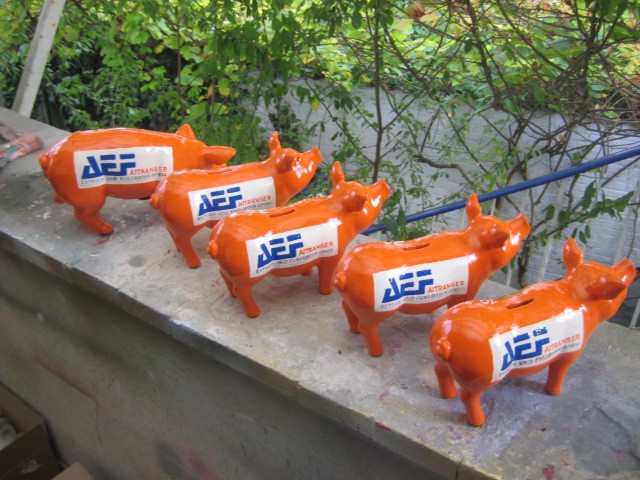 Mini-Schwein_627