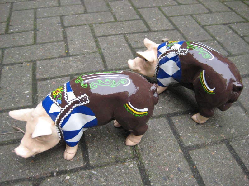 Mini-Schwein_63