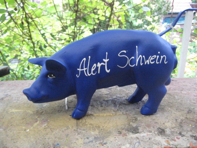 Mini-Schwein_633