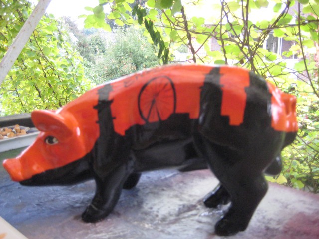 Mini-Schwein_636