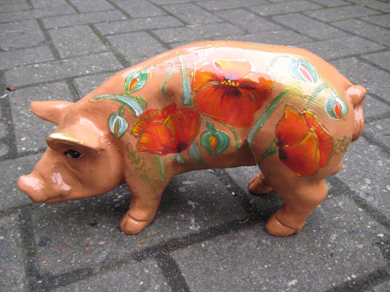 Mini-Schwein_64