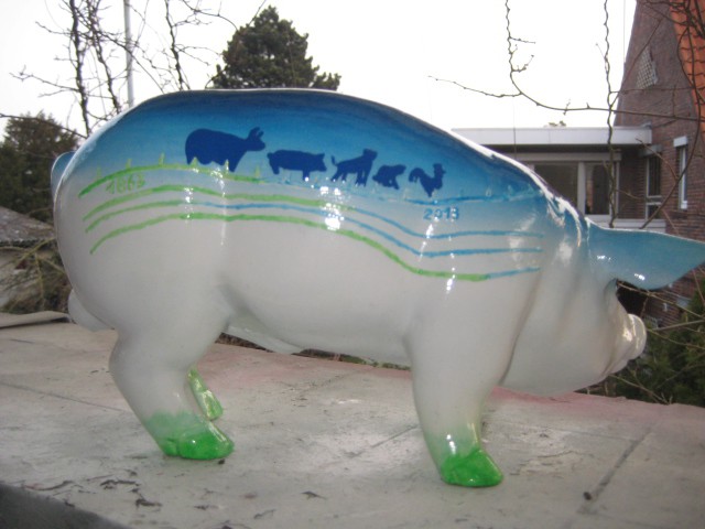 Mini-Schwein_648