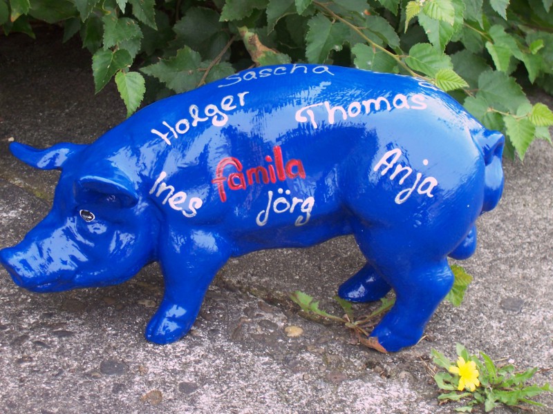 Mini-Schwein_65