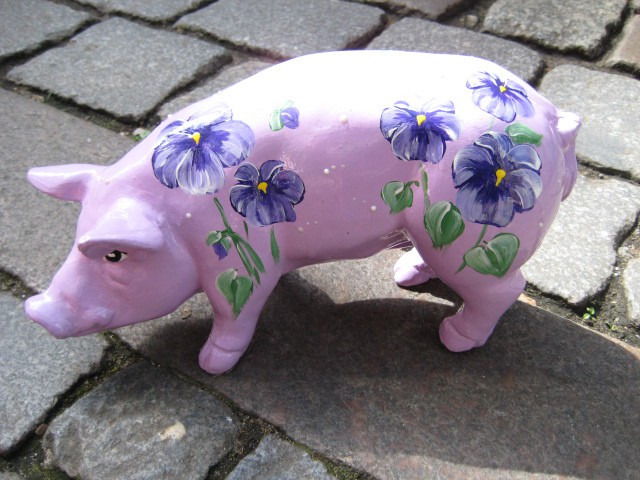 Mini-Schwein_668