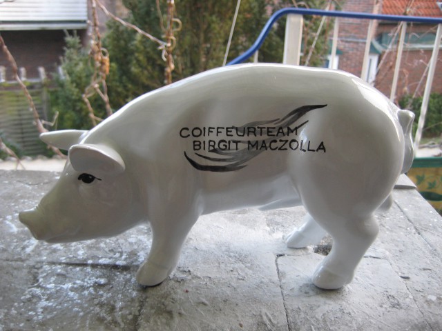 Mini-Schwein_681