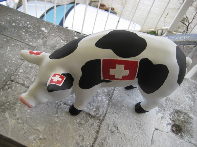 Mini-Schwein_683