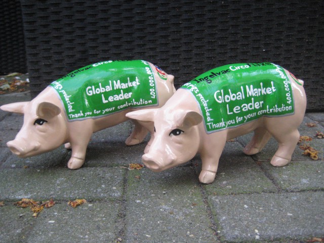Mini-Schwein_688